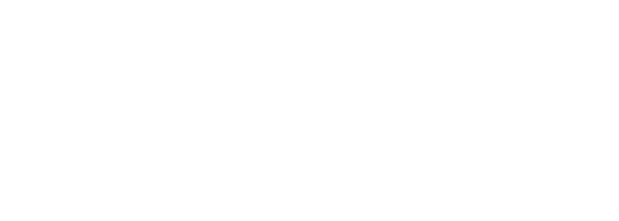 Holística Consulting